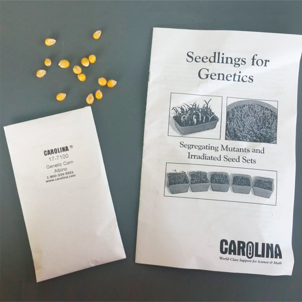 seedlings for genetics
