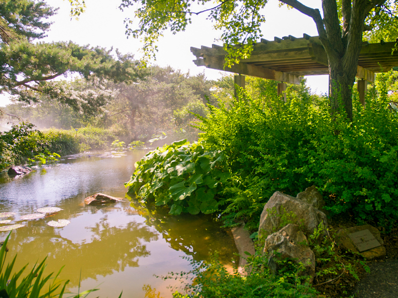 Top of waterfall garden