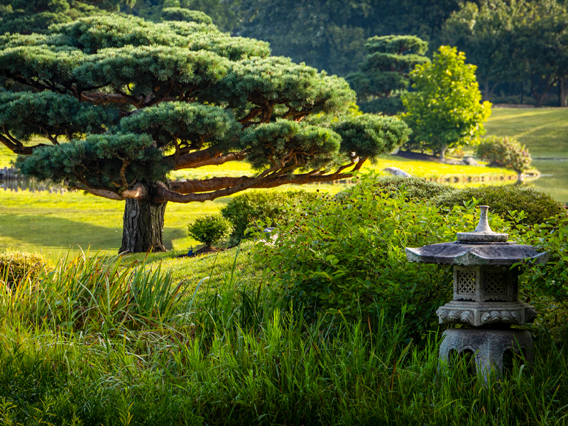 Japanese islant
