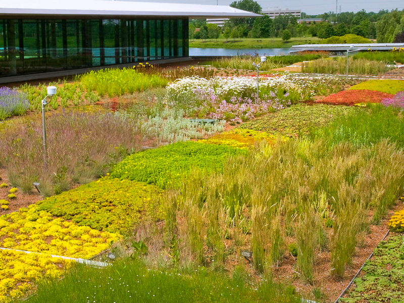 roof garden