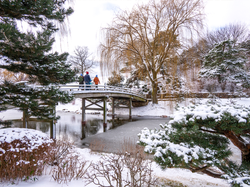 winter walk