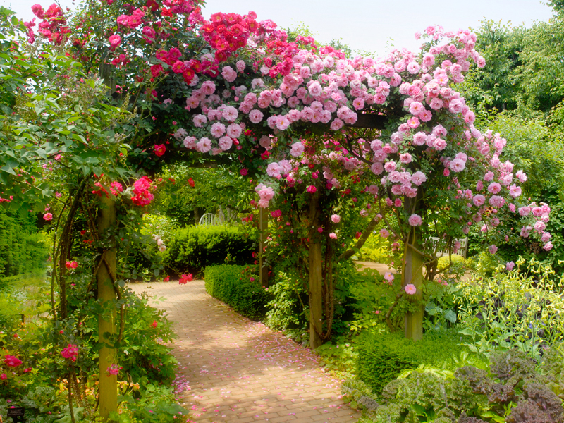 english garden arbor