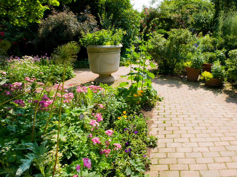 English Garden Cottage Garden