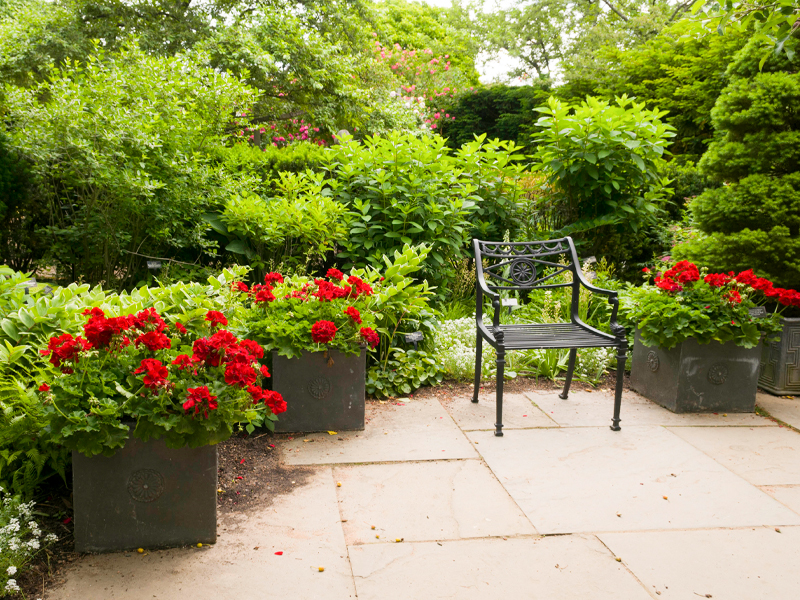 english garden Urban Courtyard Garden