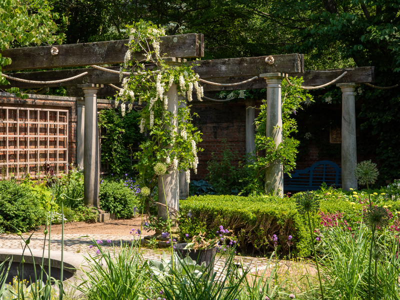 Pergola Garden