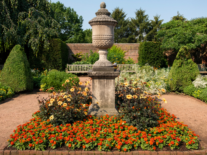 English Garden Daisy Garden