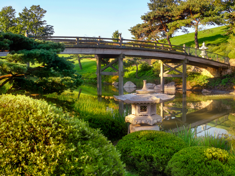 Japanese Garden Bridge