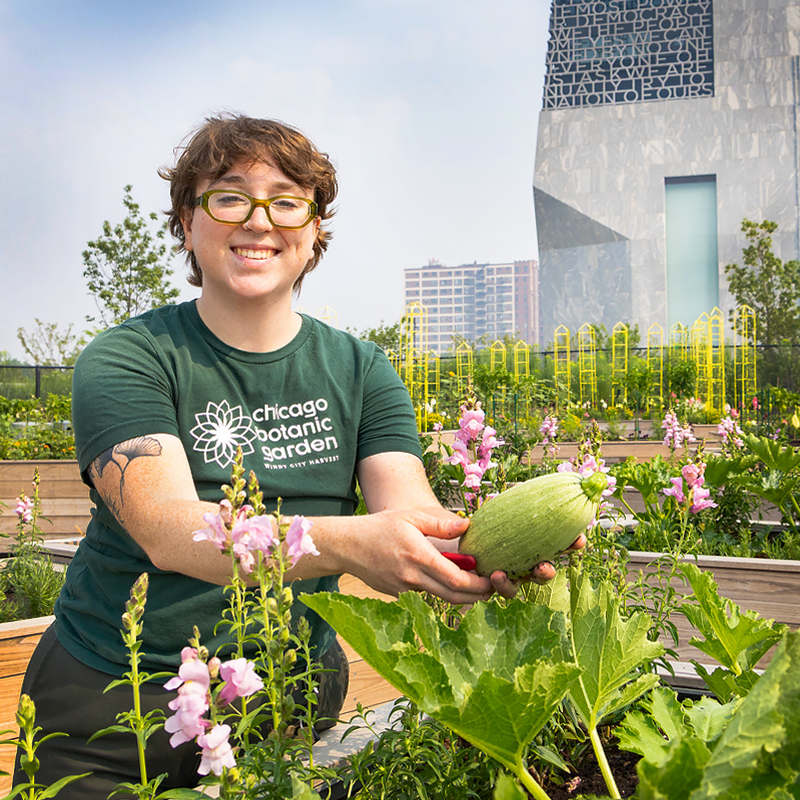 Eleanor Roosevelt Fruit and Vegetable Garden at the Obama Presidential Center