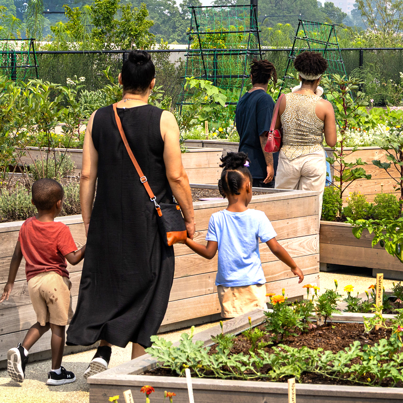 Eleanor Roosevelt Fruit and Vegetable Garden at the Obama Presidential Center