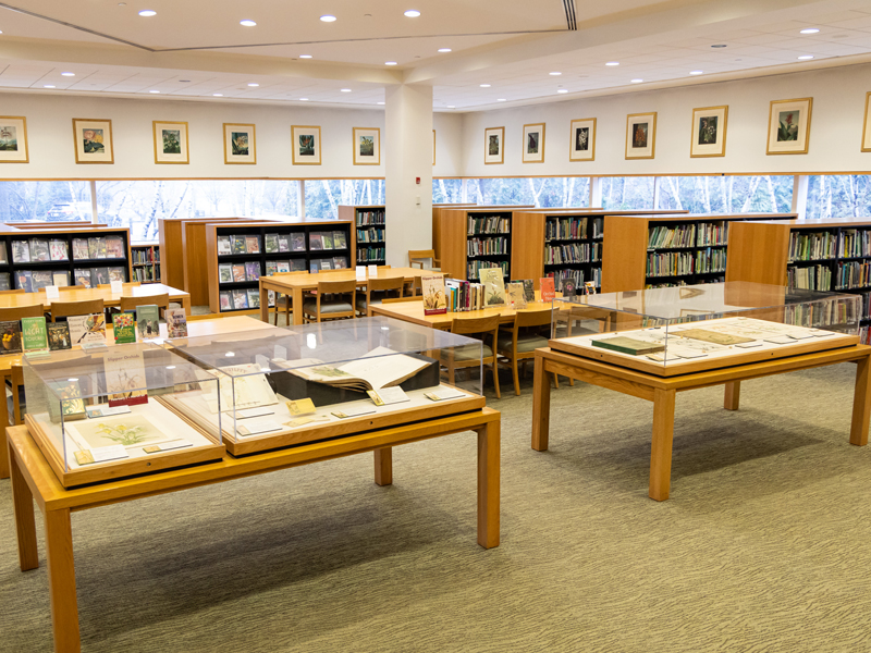 Library