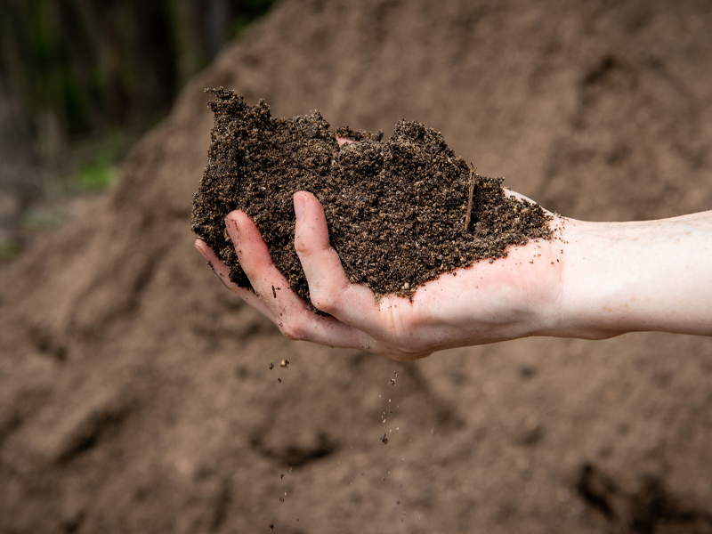 Soil