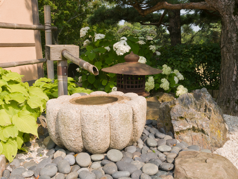 Japanese Garden water basin