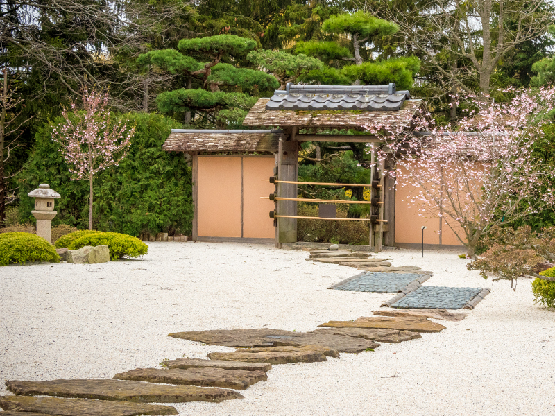 Dry Landscape Garden