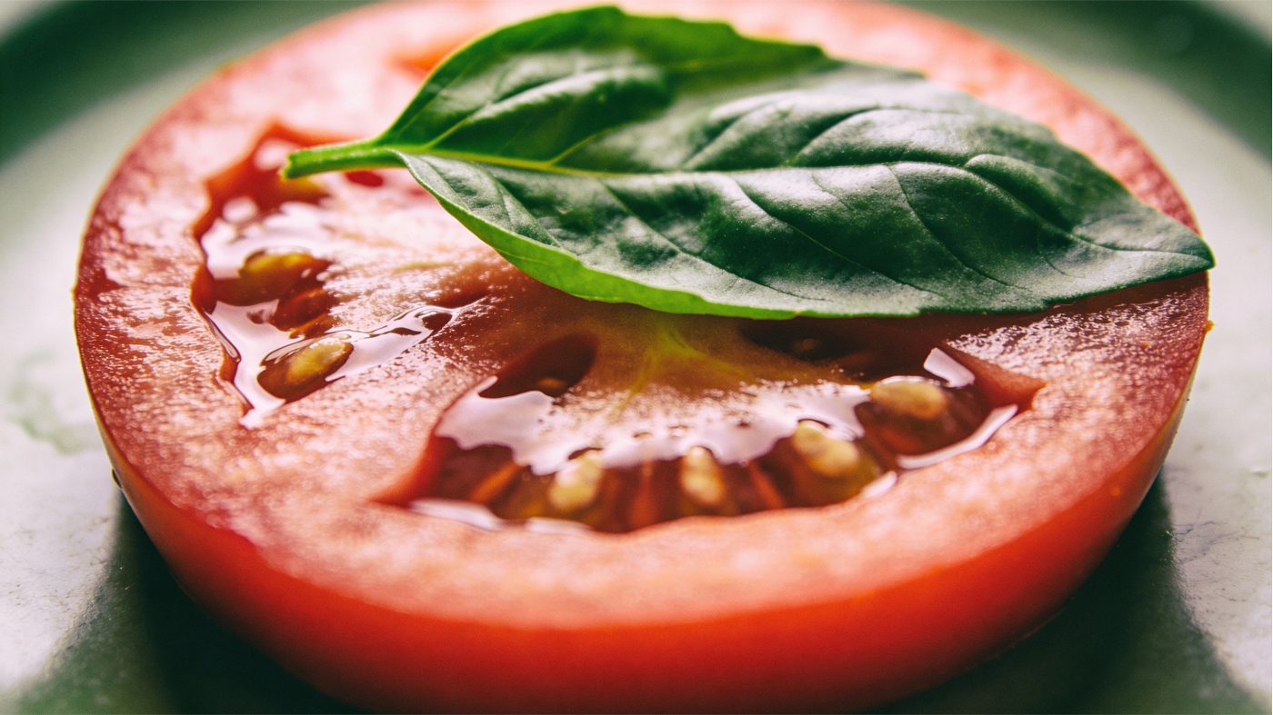 tomato recipes