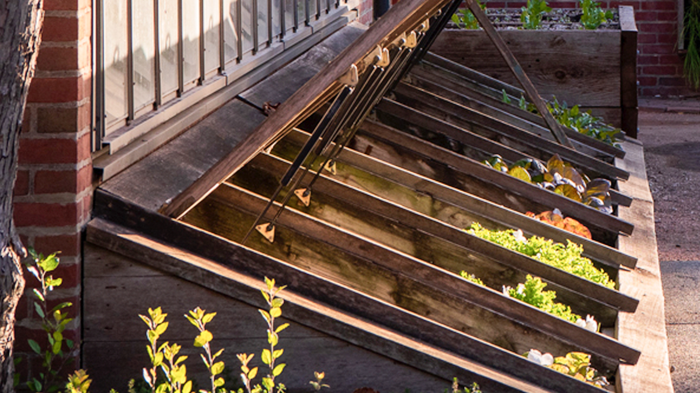 cold frame