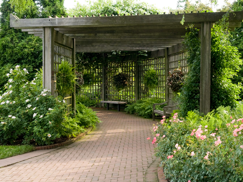 Rose Garden Arbor