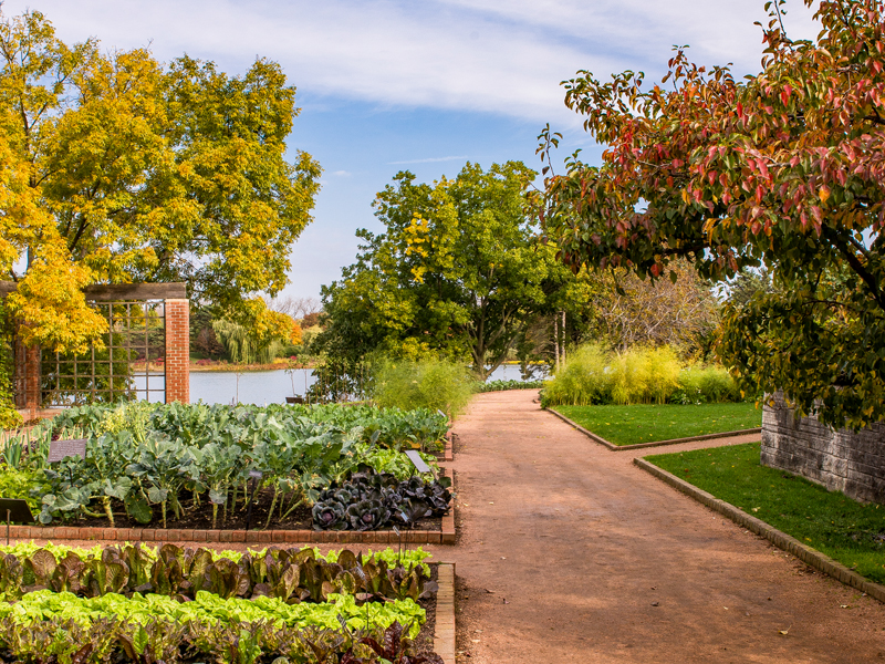fruit and vegetable garden path