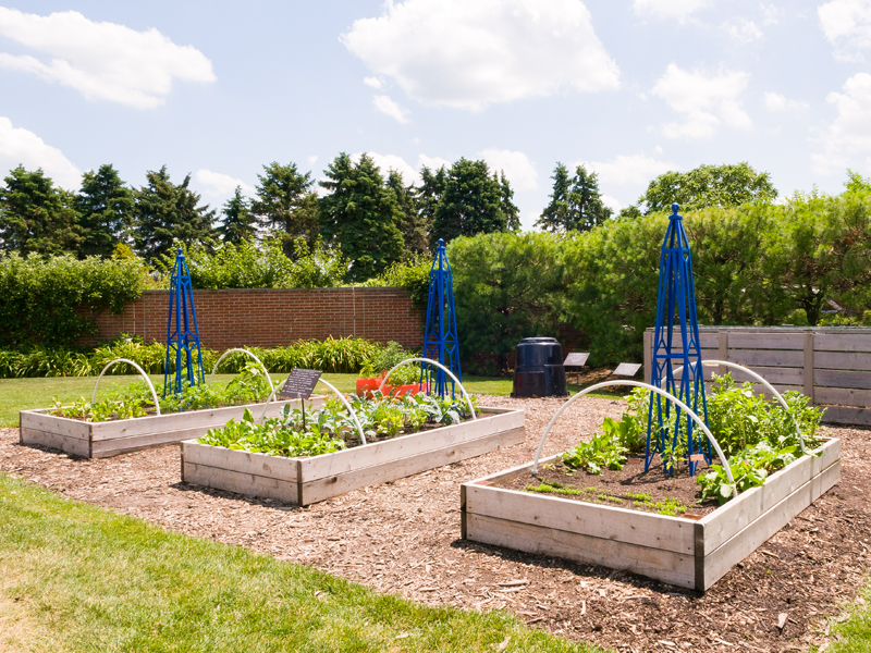 fruit and vegetable raised bed compost
