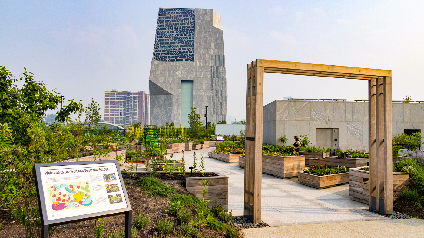 Obama Center rooftop garden