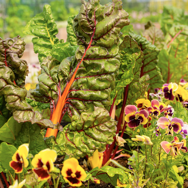 vegetables with flowers