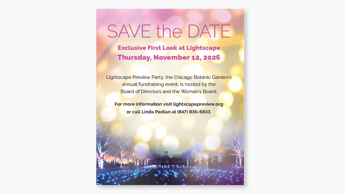 lightscape save the date preview party
