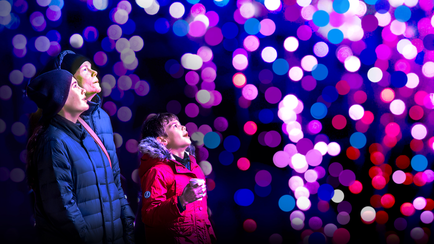 New this year at Lightscape