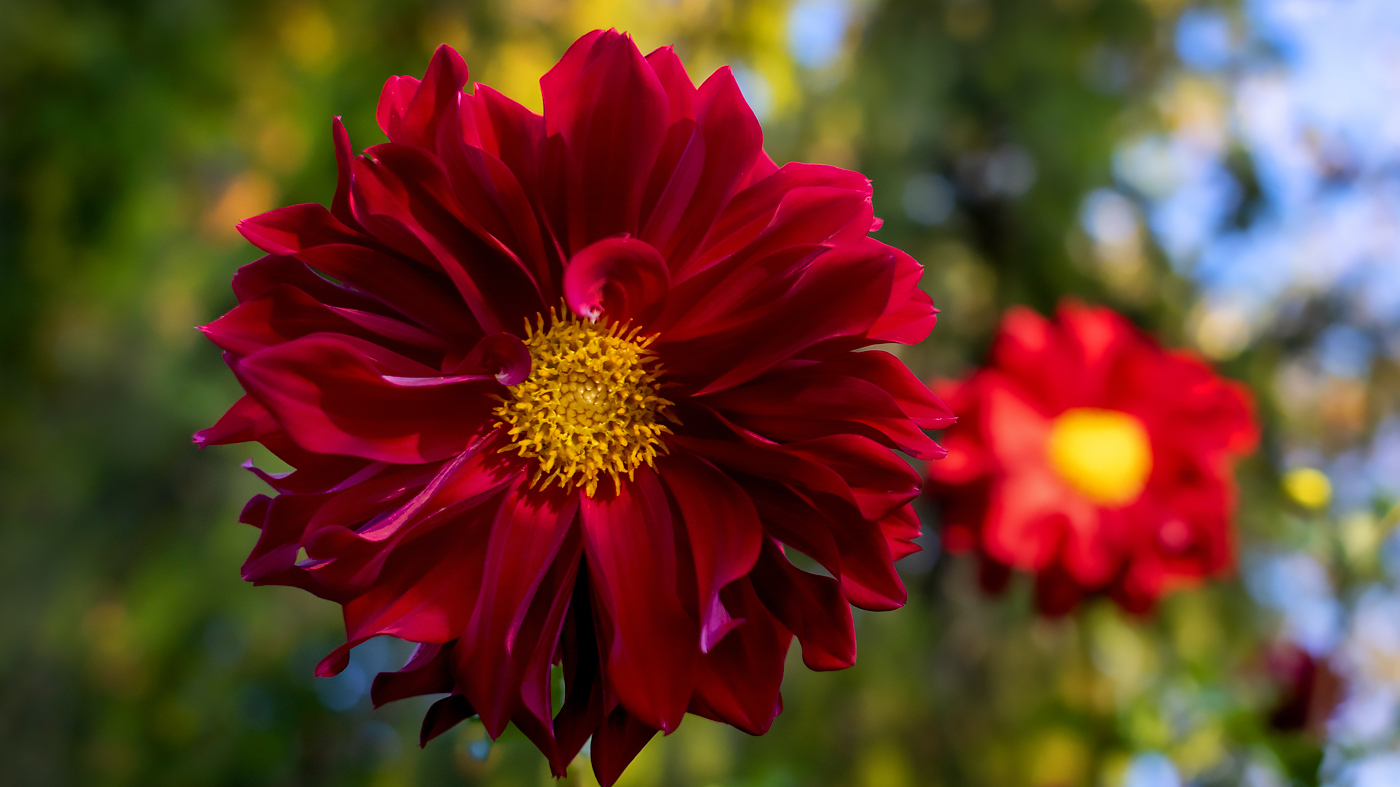 Fall Beauty
