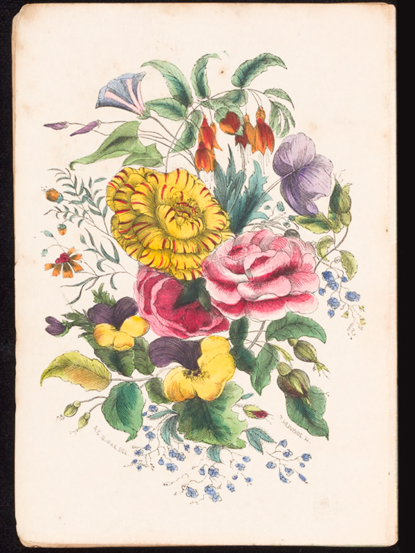 The Illustrated Language of Flowers by Anna Christian Burke, 1858