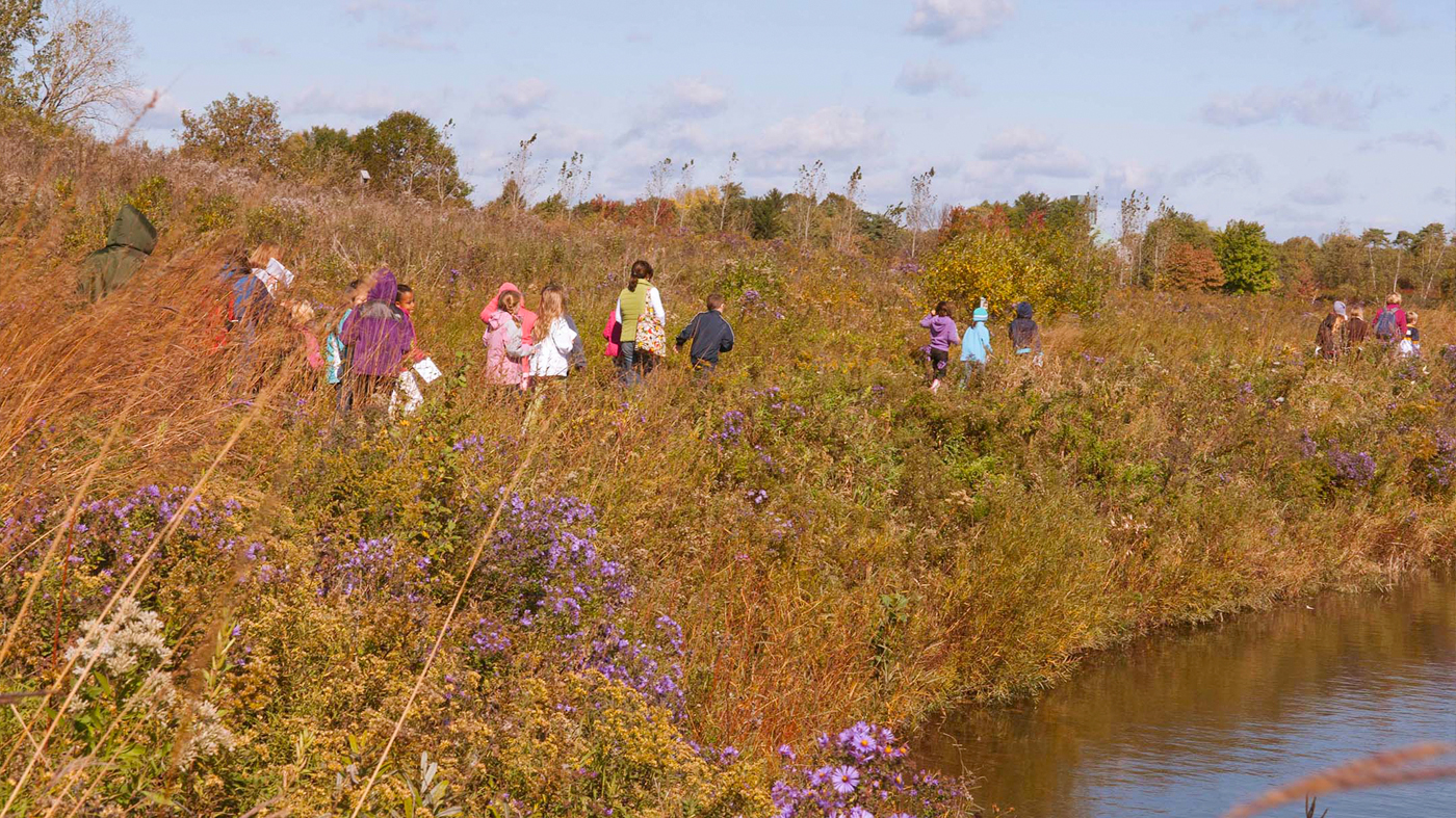 Dixon Prairie