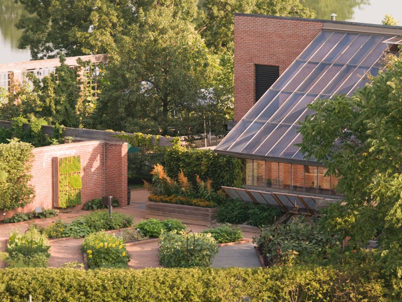 Overlooking Regenstein Fruit & Vegetable