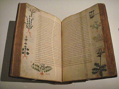 PHOTO: De Materia Medica (Byzantine version) PHOTO: De Materia Medica (Byzantine version)