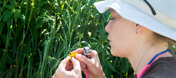 Climate Change Education