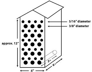 Bee condo illustration