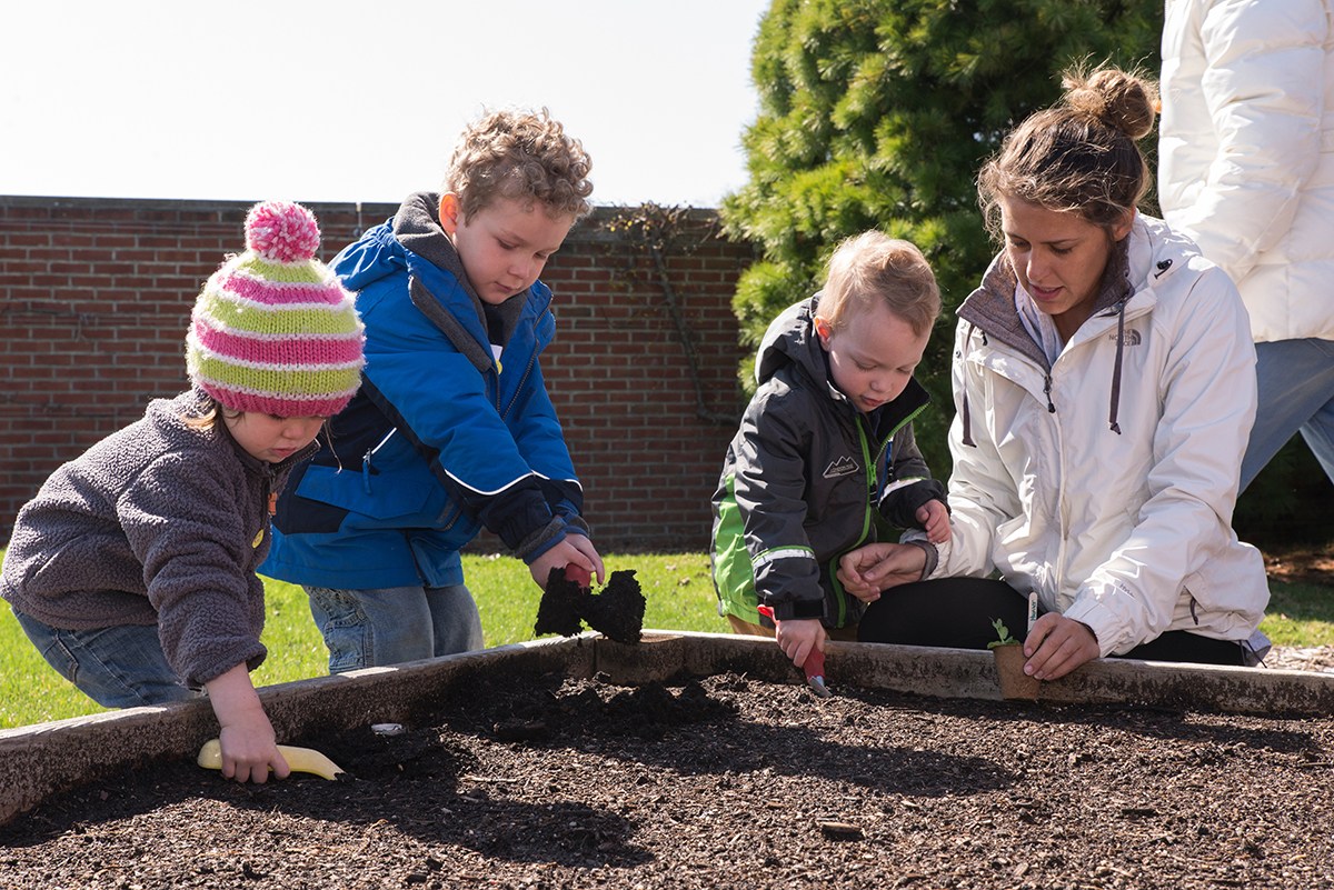 Planting Peas with Little Sprouts