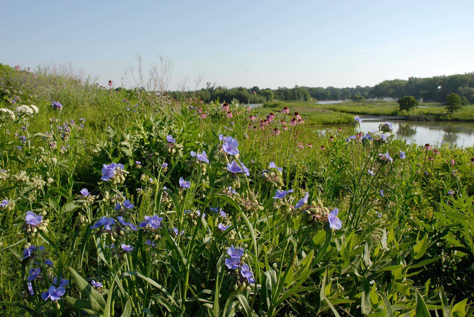 The Prairie