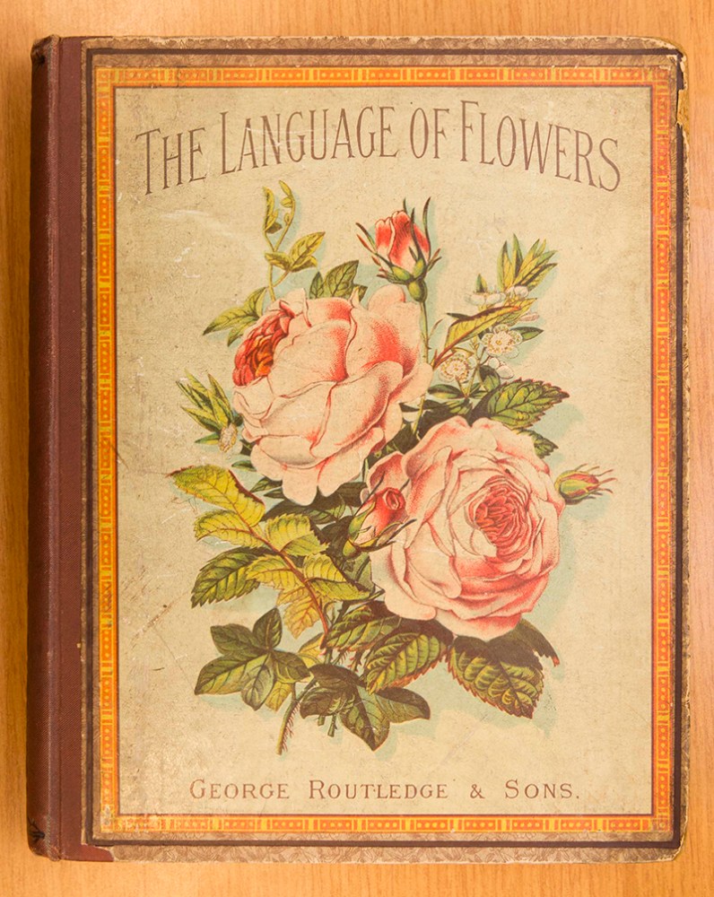 Language of Flowers