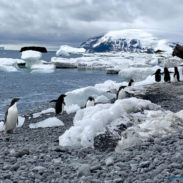 A Journey to Antarctica for Women in STEMM