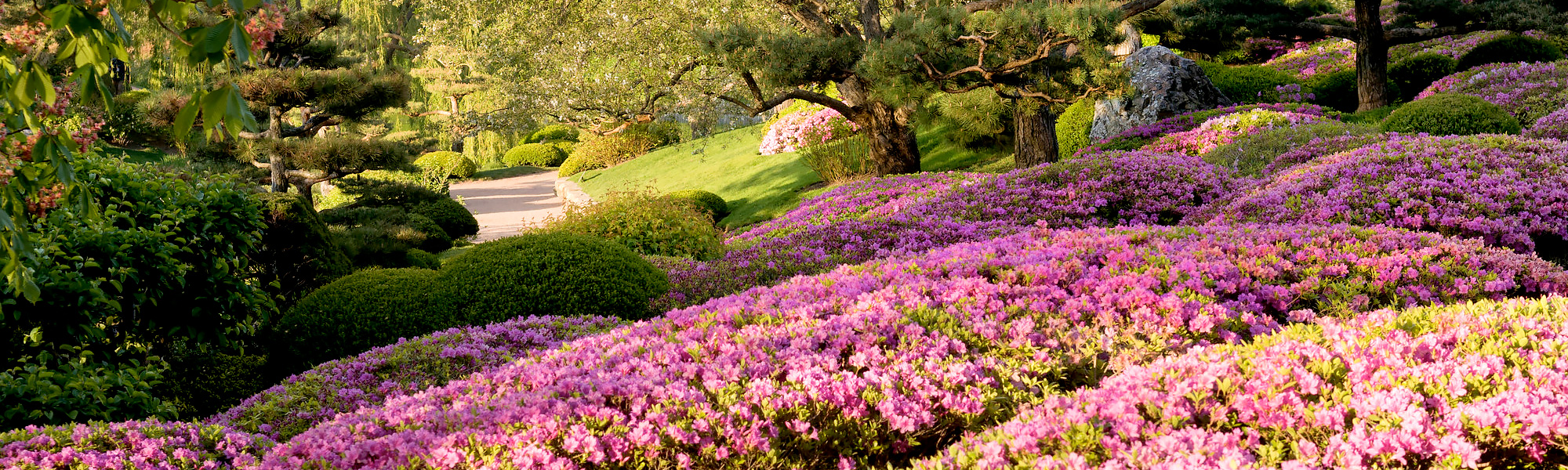 Japanese Garden