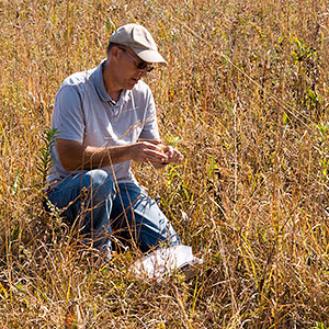 Dave Sollenberger in the field