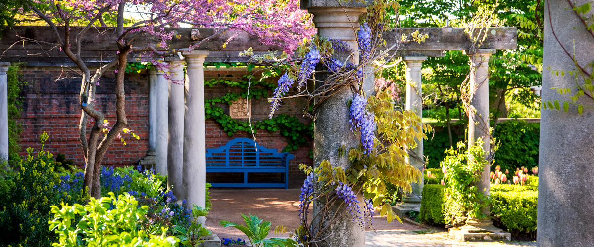 The English Walled Garden in Spring