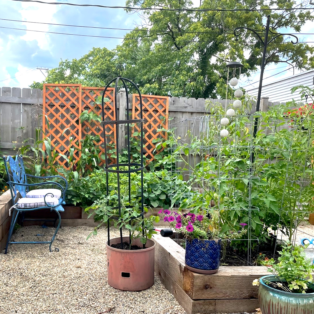 Heirloom Collard Greens: Connecting with with My Roots