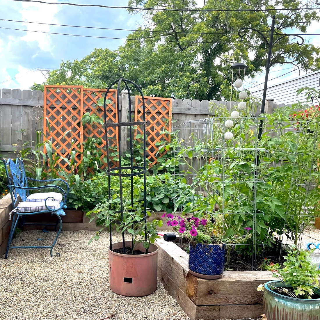 Heirloom Collard Greens: Connecting with with My Roots