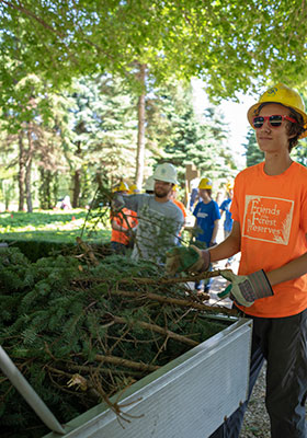 Forest Preserves Conservation Corps