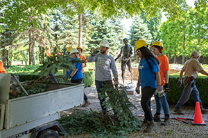 Conservation Corps teens removed stumps