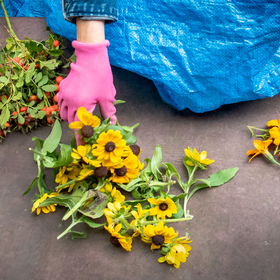 Storing Dried Flowers