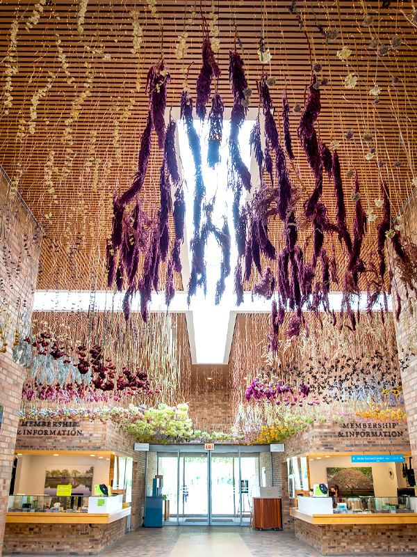 Herbarium by Rebecca Louise Law