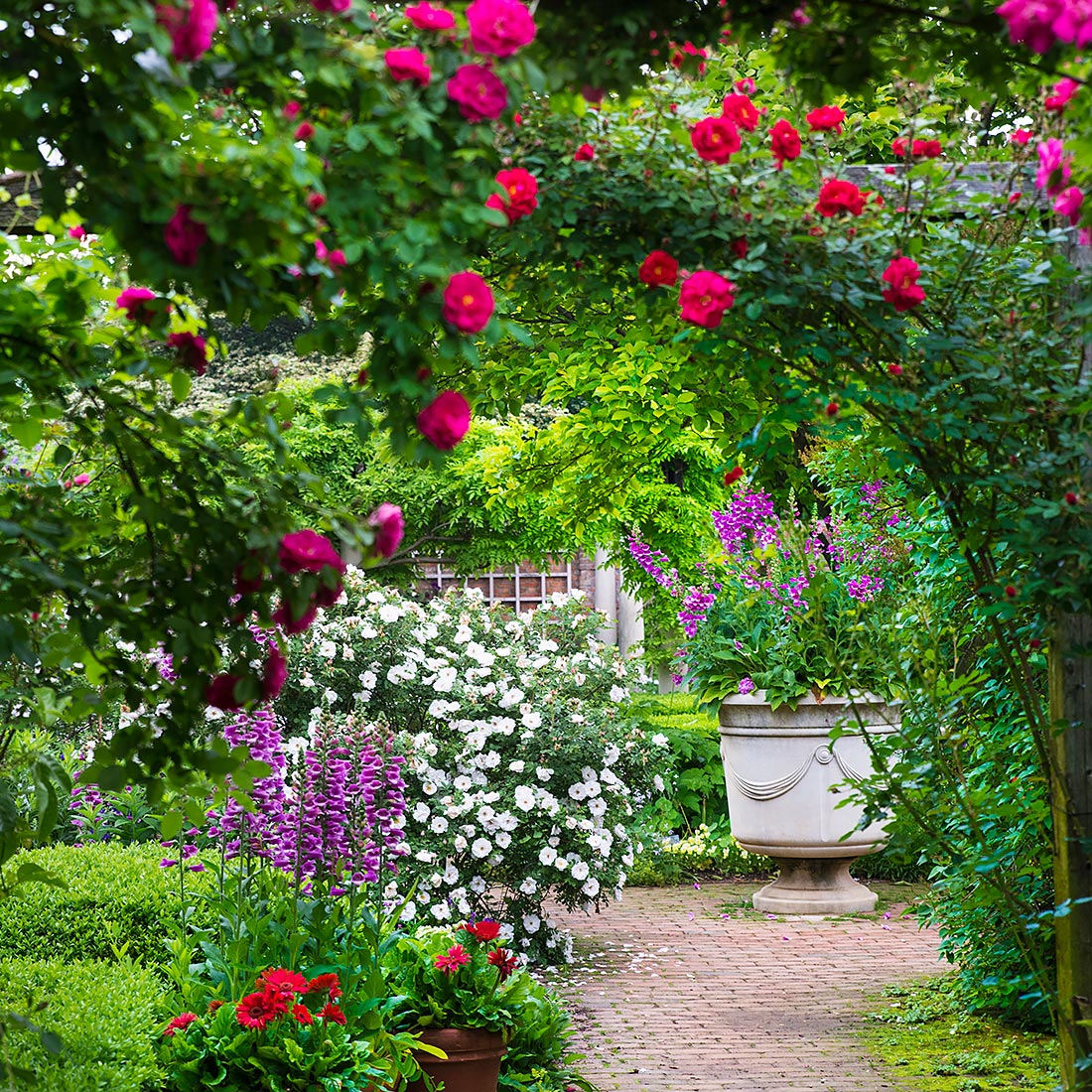 English Walled Garden with roses