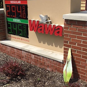 Titan Road Trip - Wawa Gas Station