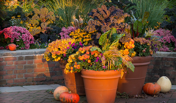 Fall Containers