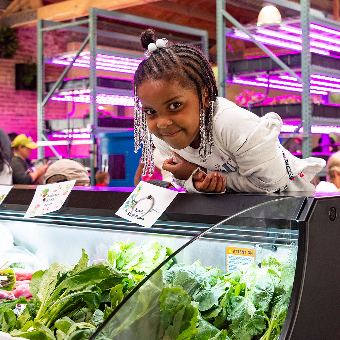 A little girl leans over the fresh produce counter in the new Farm on Ogden.